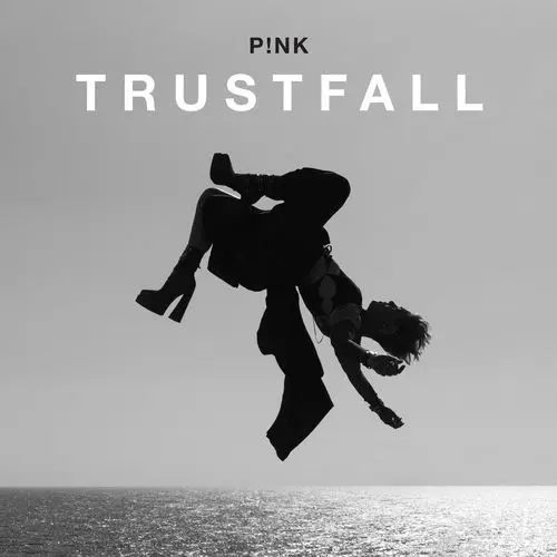 Cover von P!Nk