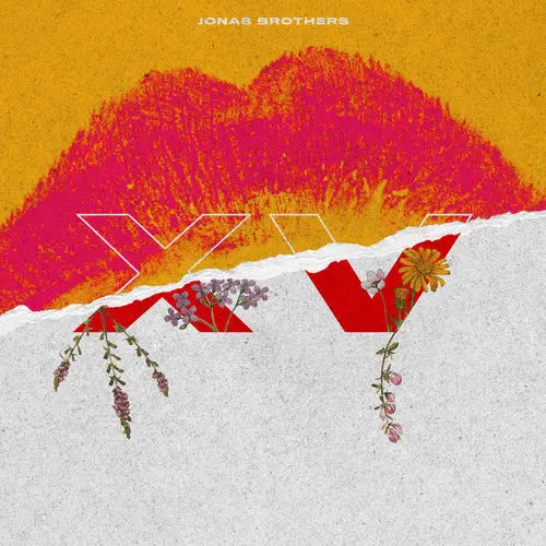 Cover von Jonas Brothers
